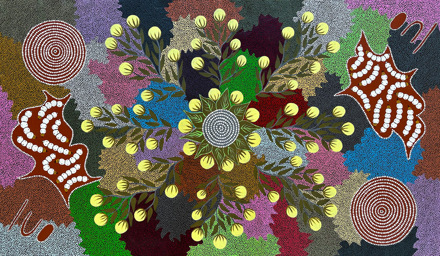 Kay Willis Napurrula Willowra Warlpiri Indigneous Art Aboriginal Art Australian Art Dot Art Painting Colour