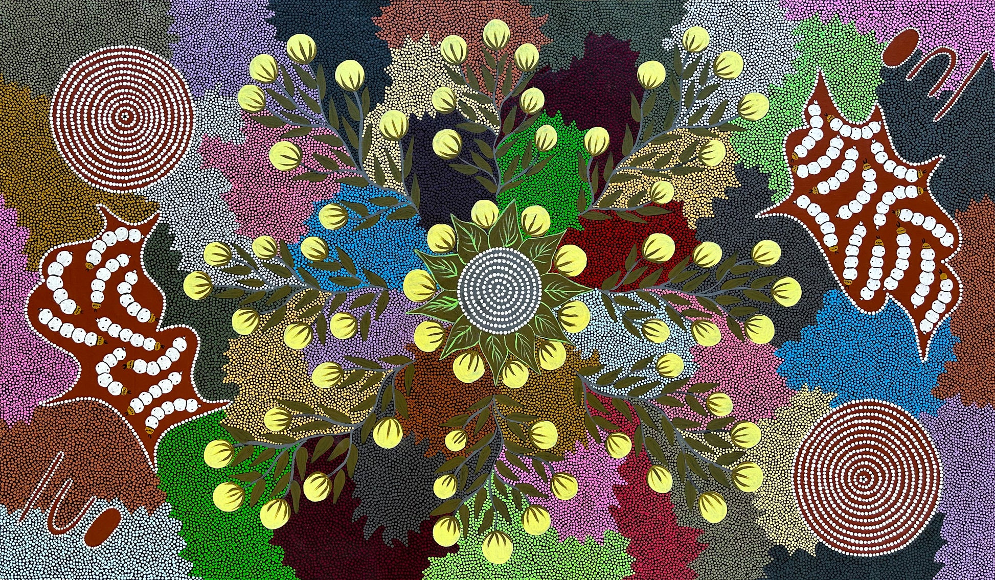 Kay Willis Napurrula Willowra Warlpiri Indigneous Art Aboriginal Art Australian Art Dot Art Painting Colour