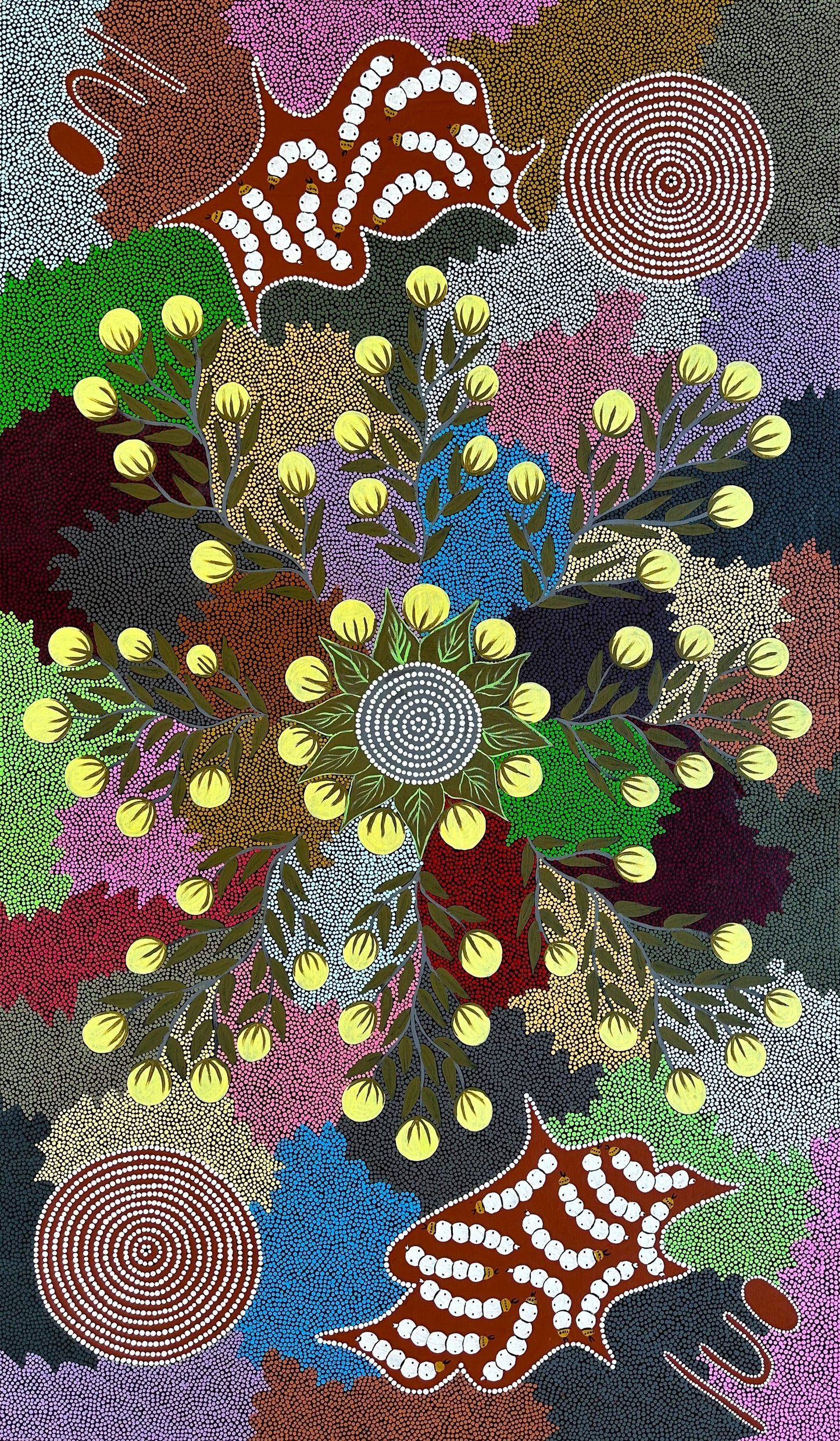 Kay Willis Napurrula, bush tomato, witchetty grub, dreaming, aboriginal dreaming, aboriginal art, indigenous art for sale, Australian art for sale, artwork, painting for sale, willowra, northern territory, Darwin gallery, interior design, wall art, art gallery, authentic art, original art, ethical art, iconography, dot artwork, dot painting, symbolism, altyerre aboriginal art