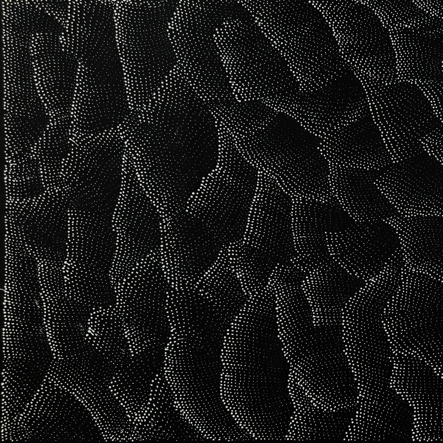 Lily Kelly Napangardi + monochromatic + tali + sandhills + dot art + dot artwork + dot painting + famous artist + Indigenous art + aboriginal art + Australian art + darwin based gallery + mesmerising + hypnotic + Haasts Bluff +