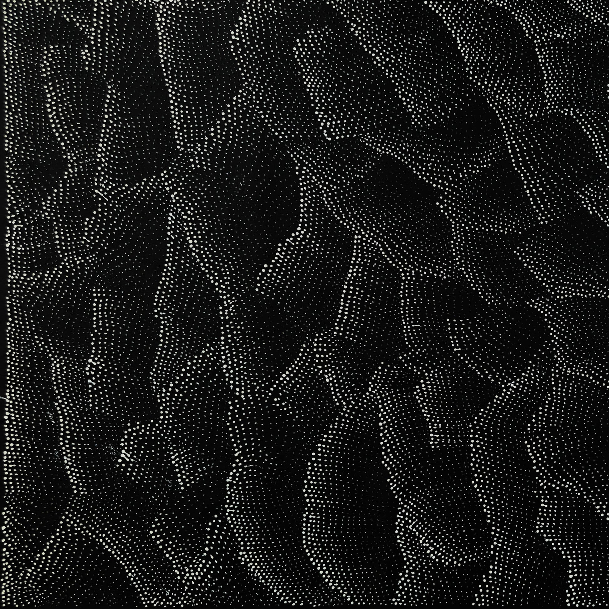 Lily Kelly Napangardi + monochromatic + tali + sandhills + dot art + dot artwork + dot painting + famous artist + Indigenous art + aboriginal art + Australian art + darwin based gallery + mesmerising + hypnotic + Haasts Bluff +