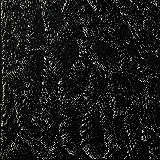 Lily Kelly Napangardi + monochromatic + tali + sandhills + dot art + dot artwork + dot painting + famous artist + Indigenous art + aboriginal art + Australian art + darwin based gallery + mesmerising + hypnotic + Haasts Bluff +