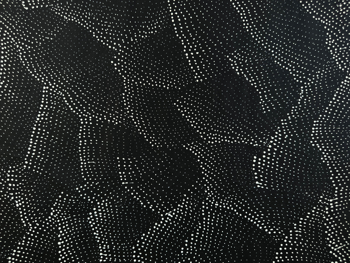 Lily Kelly Napangardi + monochromatic + tali + sandhills + dot art + dot artwork + dot painting + famous artist + Indigenous art + aboriginal art + Australian art + darwin based gallery + mesmerising + hypnotic + Haasts Bluff +
