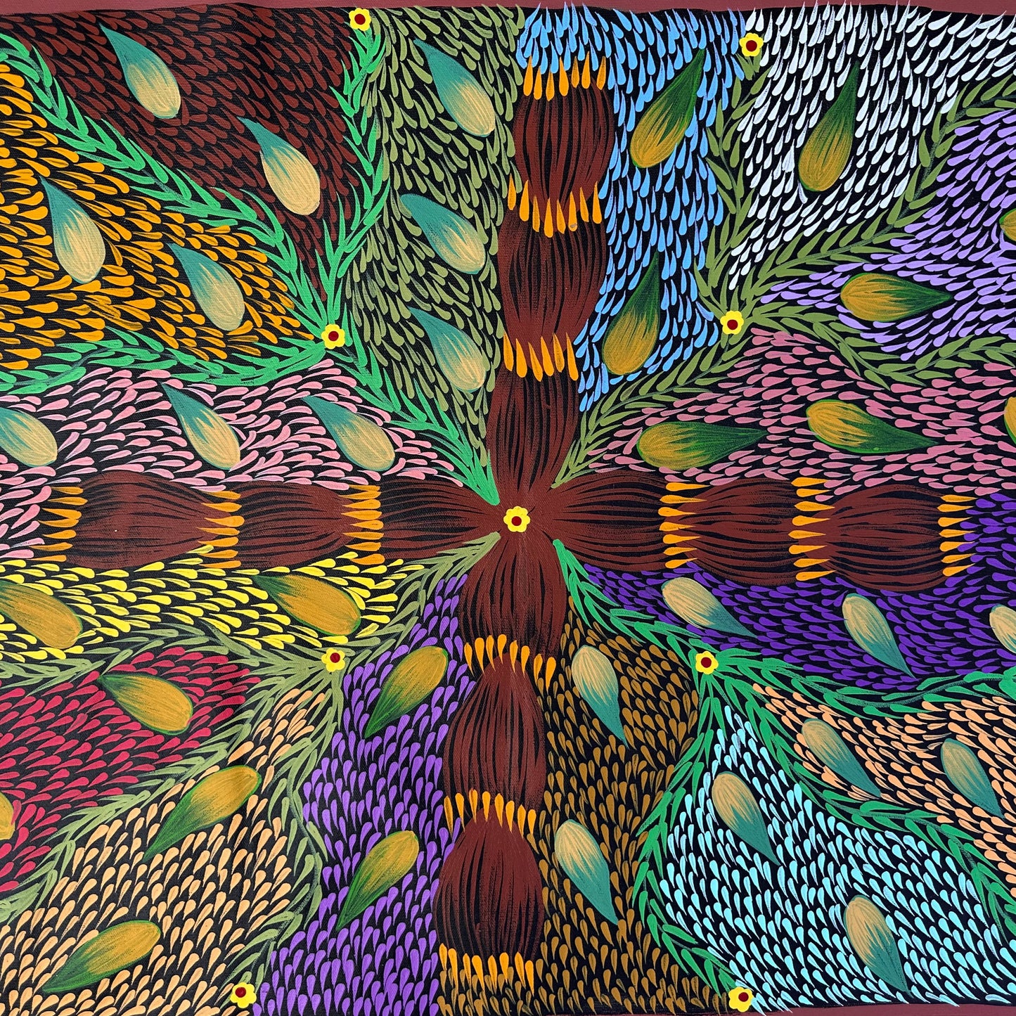 Amunturngu + Mt Liebig + Northern Territory + Aboriginal Artist + Indigenous Artist + Australian Artist + Painting + Art for Sale + Painting for Sale + Darwin Based Gallery + Beautiful + Colourful + Bush Banana + Dreaming + Traditional art + Contemporary art
