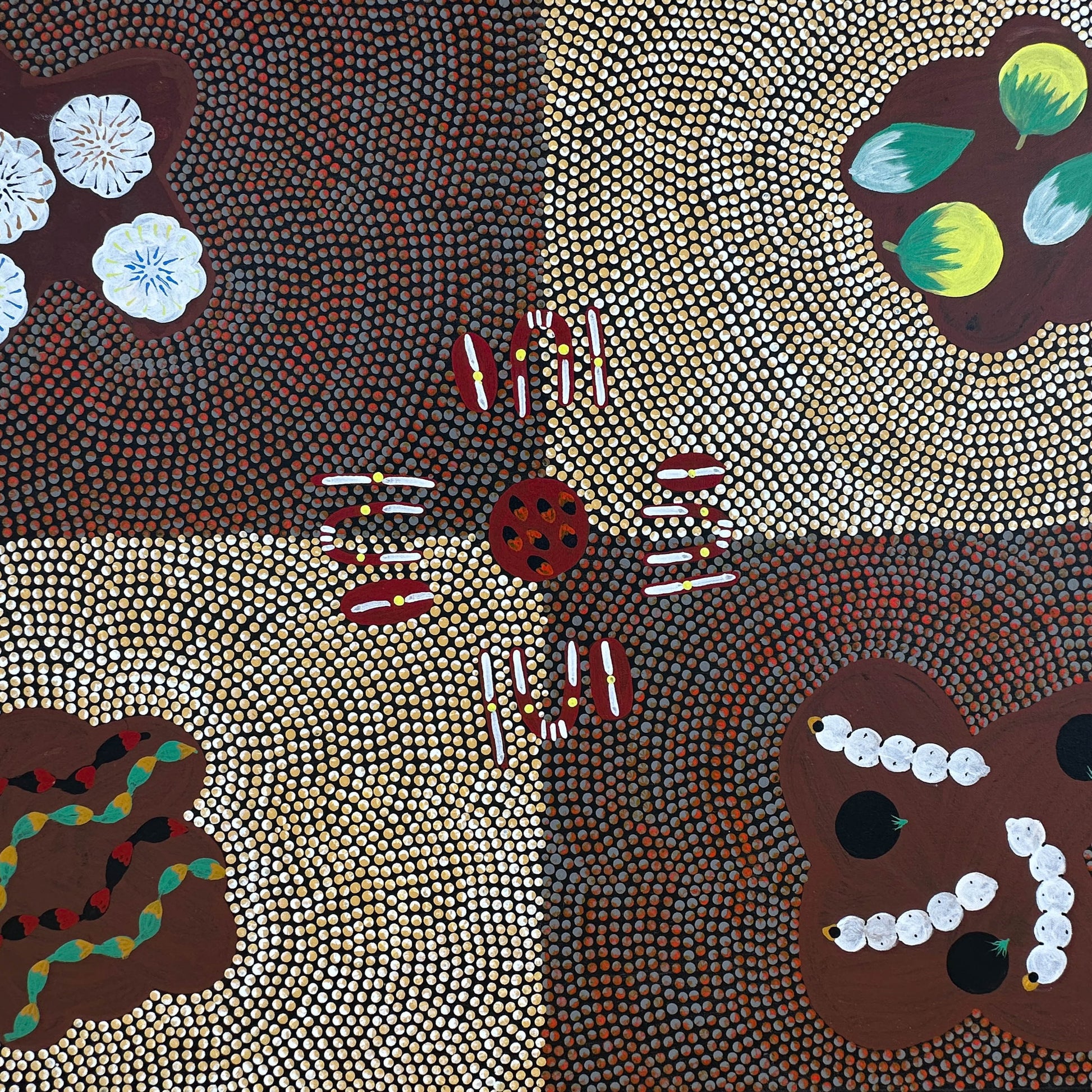 Willowra + Northern Territory + Mary Ross Nabarula + Witchetty Grub + Bush Plum + Bush Bean + Bush Banana + Bush Tomato + Bush Cotton Wool + Indigenous Art + Dot Art + Traditional Art + Australian Art + Aboriginal Art + Ochre Colours + Iconography + Symbolism + Bush Tucker + Art Story