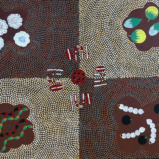 Willowra + Northern Territory + Mary Ross Nabarula + Witchetty Grub + Bush Plum + Bush Bean + Bush Banana + Bush Tomato + Bush Cotton Wool + Indigenous Art + Dot Art + Traditional Art + Australian Art + Aboriginal Art + Ochre Colours + Iconography + Symbolism + Bush Tucker + Art Story