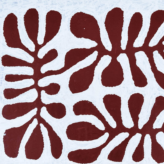 Mitjili Naparrula + Watiya Tjutua + Haasts Bluff +  Ikuntji + Indigenous art + Aboriginal Art + Australian Art + Contemporary Art + Art for sale + Painting for sale + brown and white + trees + innovative artst + famous artist + Darwin based gallery + Family owned business + famous artist + altyerre Aboriginal art + Altyerre
