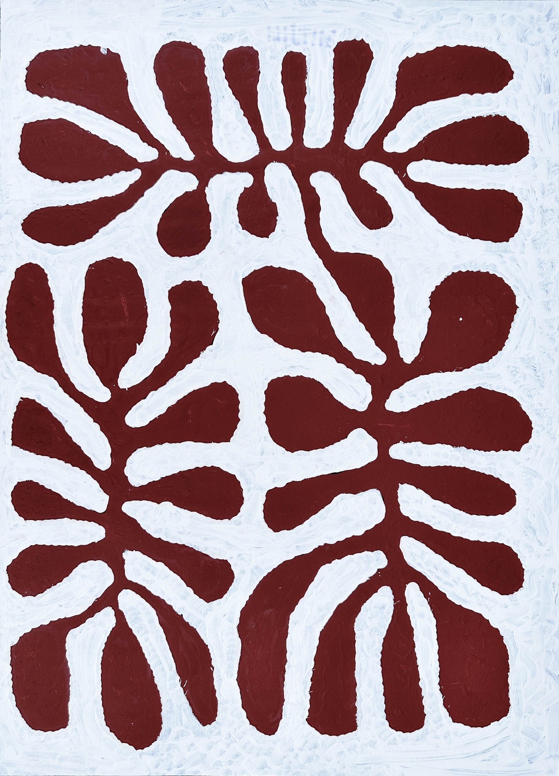Mitjili Naparrula + Watiya Tjutua + Haasts Bluff + Ikuntji + Indigenous art + Aboriginal Art + Australian Art + Contemporary Art + Art for sale + Painting for sale + brown and white + trees + innovative artst + famous artist + Darwin based gallery + Family owned business + famous artist + altyerre Aboriginal art + Altyerre