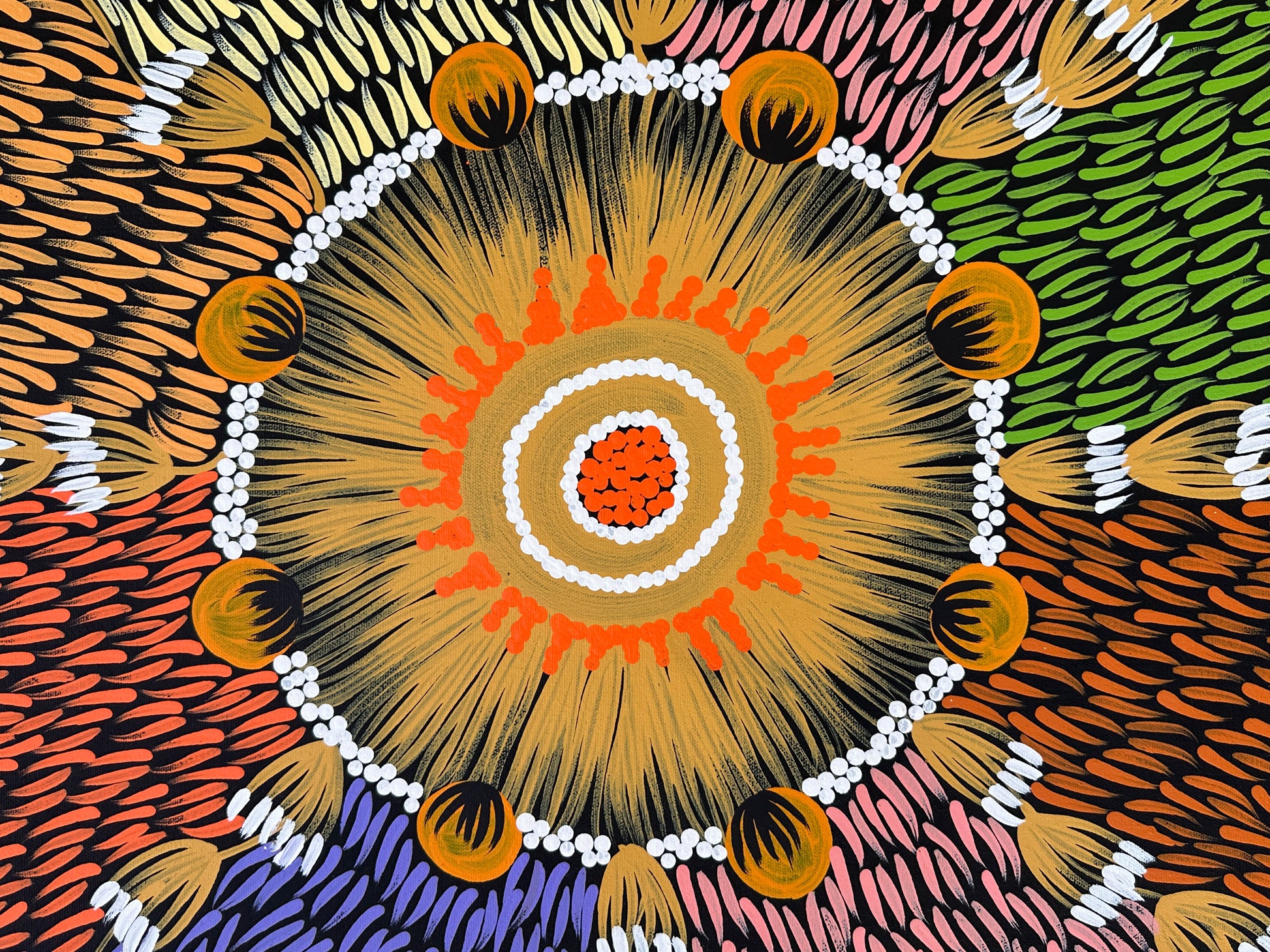 Mary Napangardi Jones + Mt Liebig + Northern Territory + indigenous art + aboriginal art + bush plum dreaming + australian art + bush tucker + interior design + wall art + decor + interior designer + interior design ideas + inspiration + darwin based gallery + family owned business + beautiful art + contemporary art + traditional art + altyerre aboriginal art + art gallery