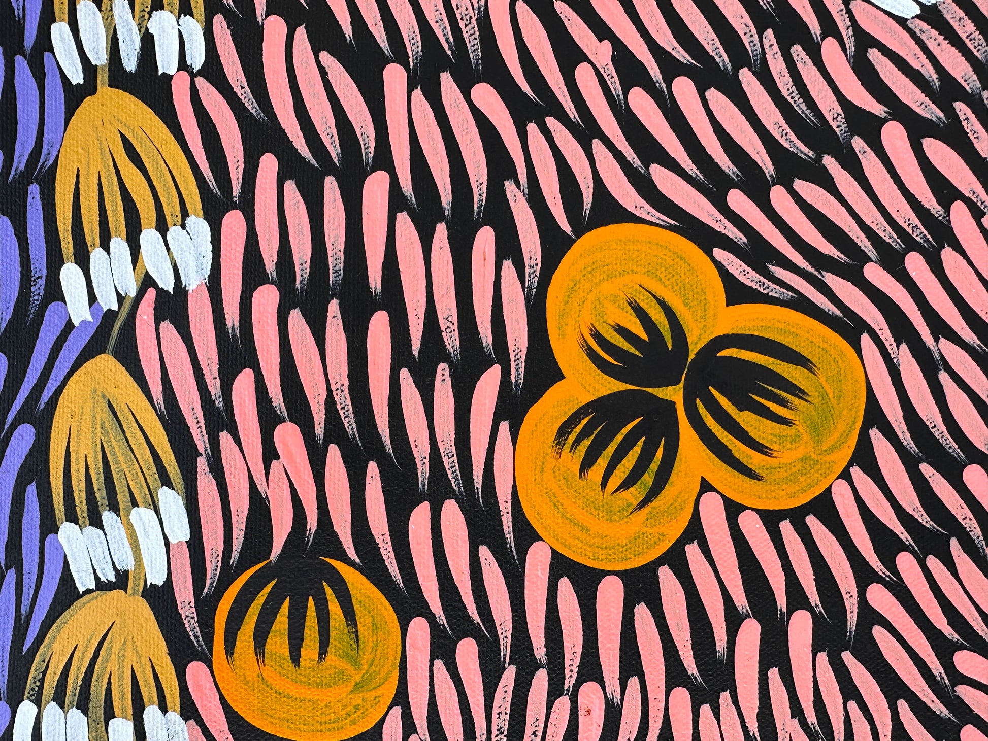 Mary Napangardi Jones + Mt Liebig + Northern Territory + indigenous art + aboriginal art + bush plum dreaming + australian art + bush tucker + interior design + wall art + decor + interior designer + interior design ideas + inspiration + darwin based gallery + family owned business + beautiful art + contemporary art + traditional art + altyerre aboriginal art + art gallery