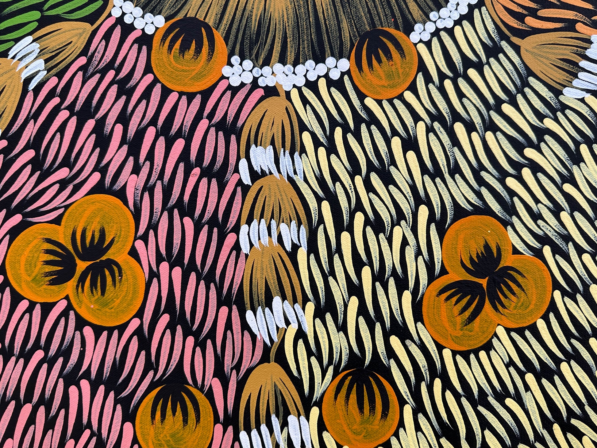 Mary Napangardi Jones + Mt Liebig + Northern Territory + indigenous art + aboriginal art + bush plum dreaming + australian art + bush tucker + interior design + wall art + decor + interior designer + interior design ideas + inspiration + darwin based gallery + family owned business + beautiful art + contemporary art + traditional art + altyerre aboriginal art + art gallery