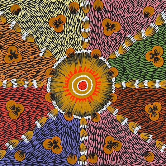 Mary Napangardi Jones + Mt Liebig + Northern Territory + indigenous art + aboriginal art + bush plum dreaming + australian art + bush tucker + interior design + wall art + decor + interior designer + interior design ideas + inspiration + darwin based gallery + family owned business + beautiful art + contemporary art + traditional art + altyerre aboriginal art + art gallery