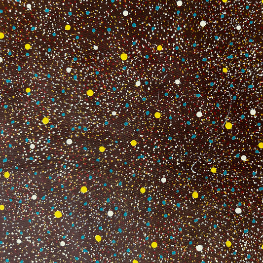 MARY RUMBLE PITJARA - Bush Seeds