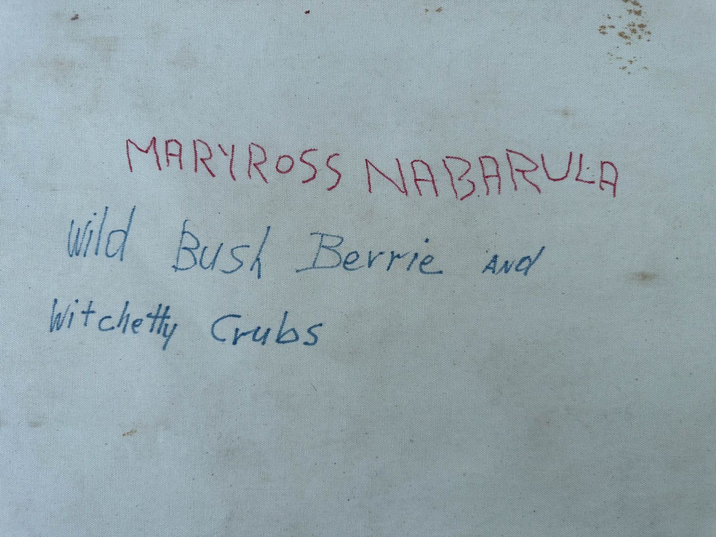 Indigenous Women's Ceremony - Bush Berries Painting