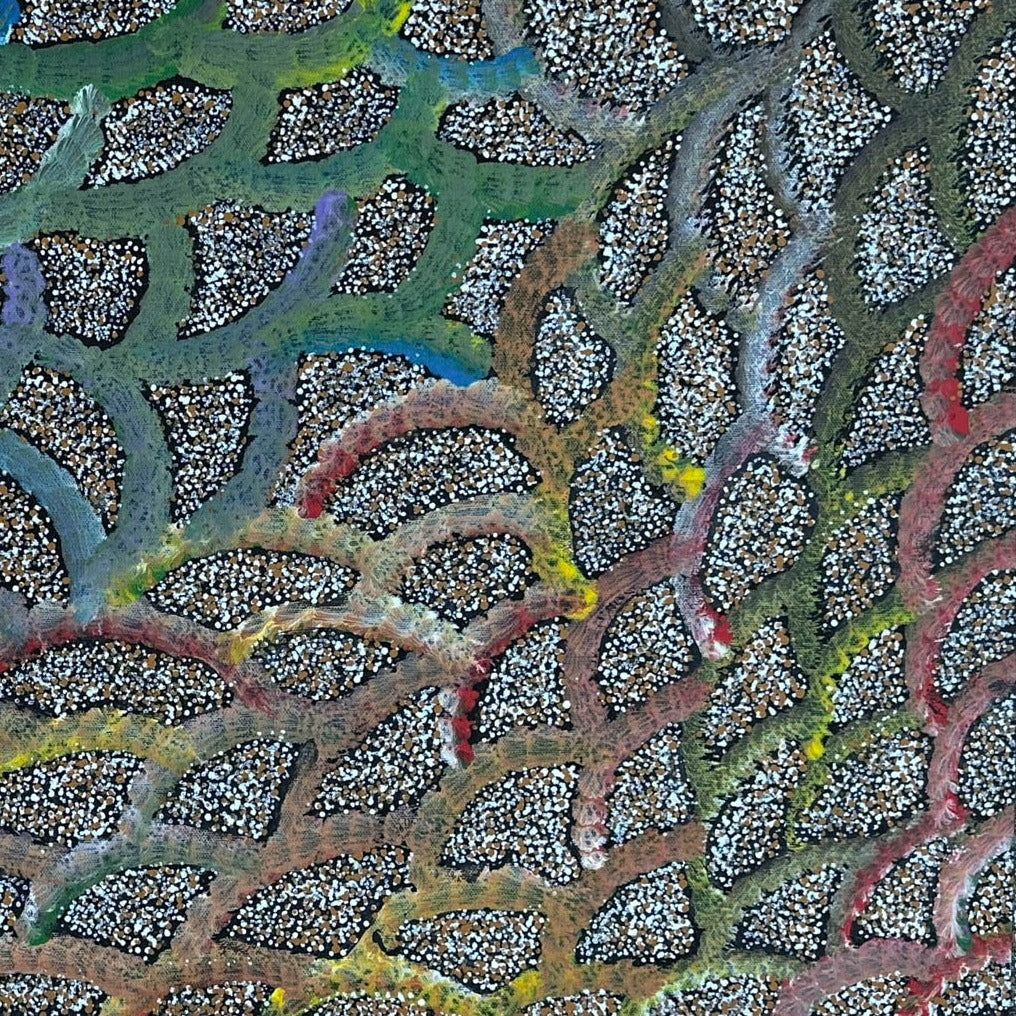 Mary Rumble Pitjara Petyarre + Utopia  + Body Paint + Awelye + Dot Painting + Dot Art + Utopia + Indigenous Art + Aboriginal Art + Australian Art + Darwin Based Gallery