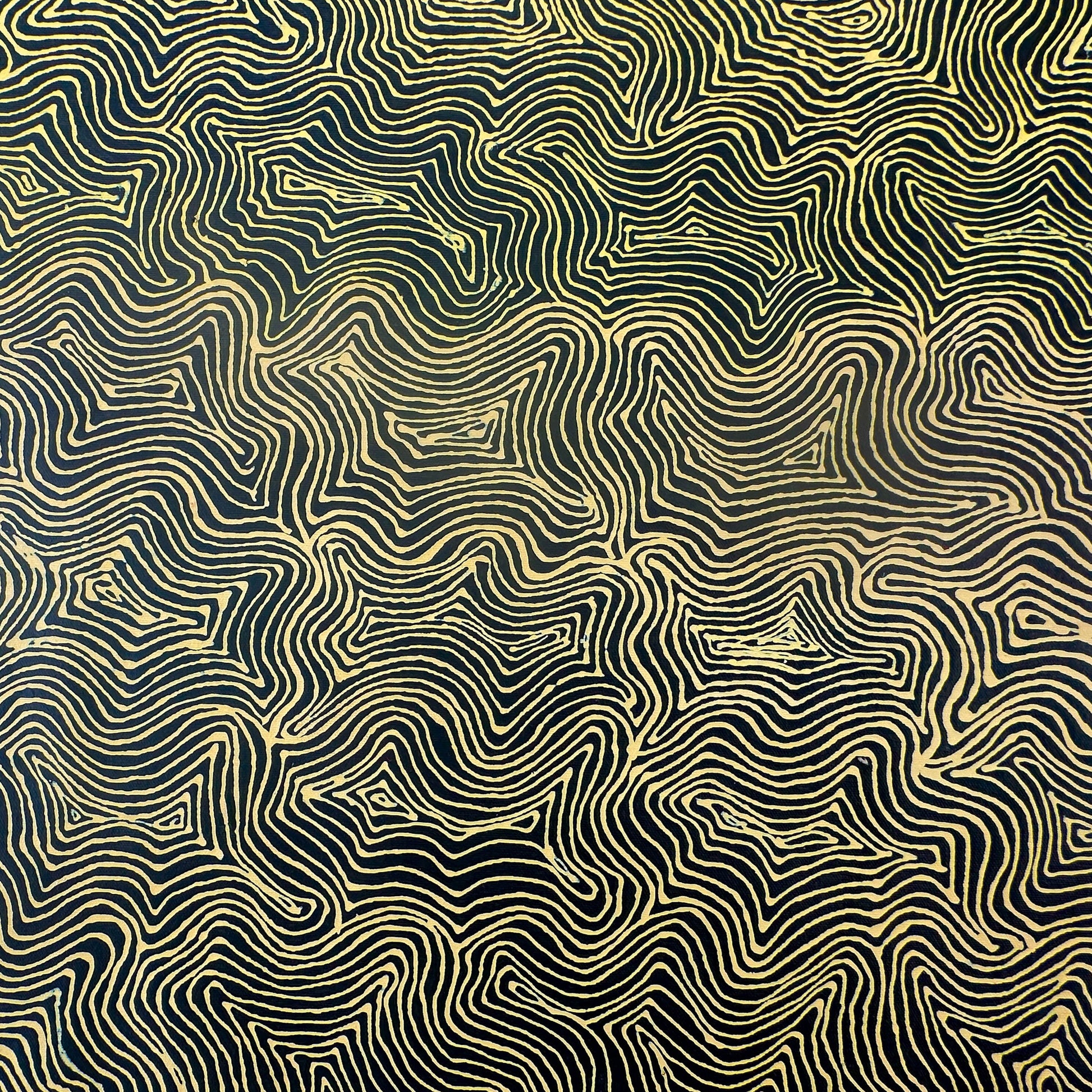 Mary Rumble Pitjara Petyarre + Utopia + Body Art + Aweyle + womens dreaming + hypnotic + mesmerising + yellow + altyerre + altyerre aboriginal art + home decor + office decor + interior design + painting for sale + art work for sale + art for sale + art gallery + large artwork