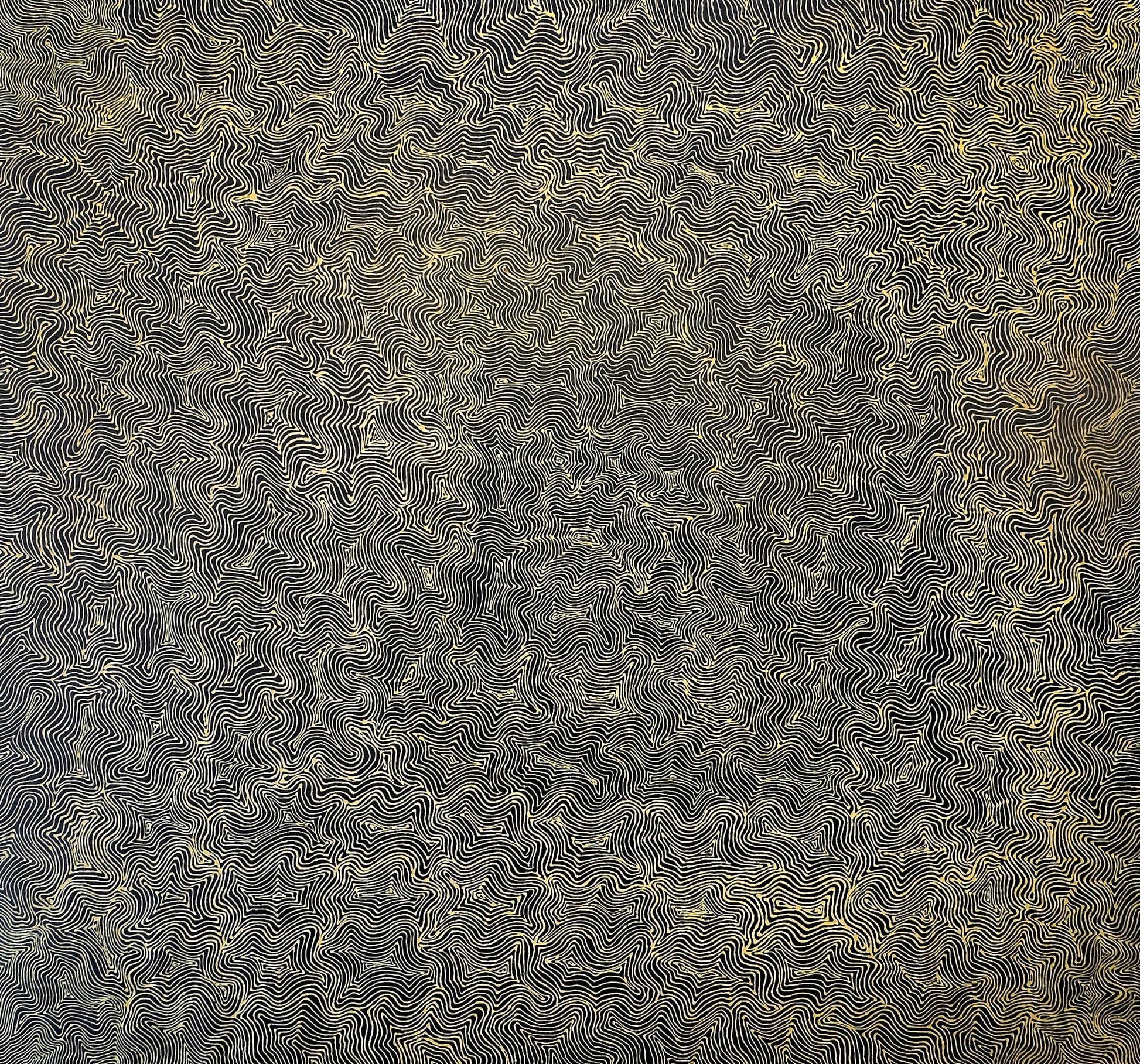 Mary Rumble Pitjara Petyarre + Utopia + Body Art + Aweyle + womens dreaming + hypnotic + mesmerising + yellow + altyerre + altyerre aboriginal art + home decor + office decor + interior design + painting for sale + art work for sale + art for sale + art gallery + large artwork