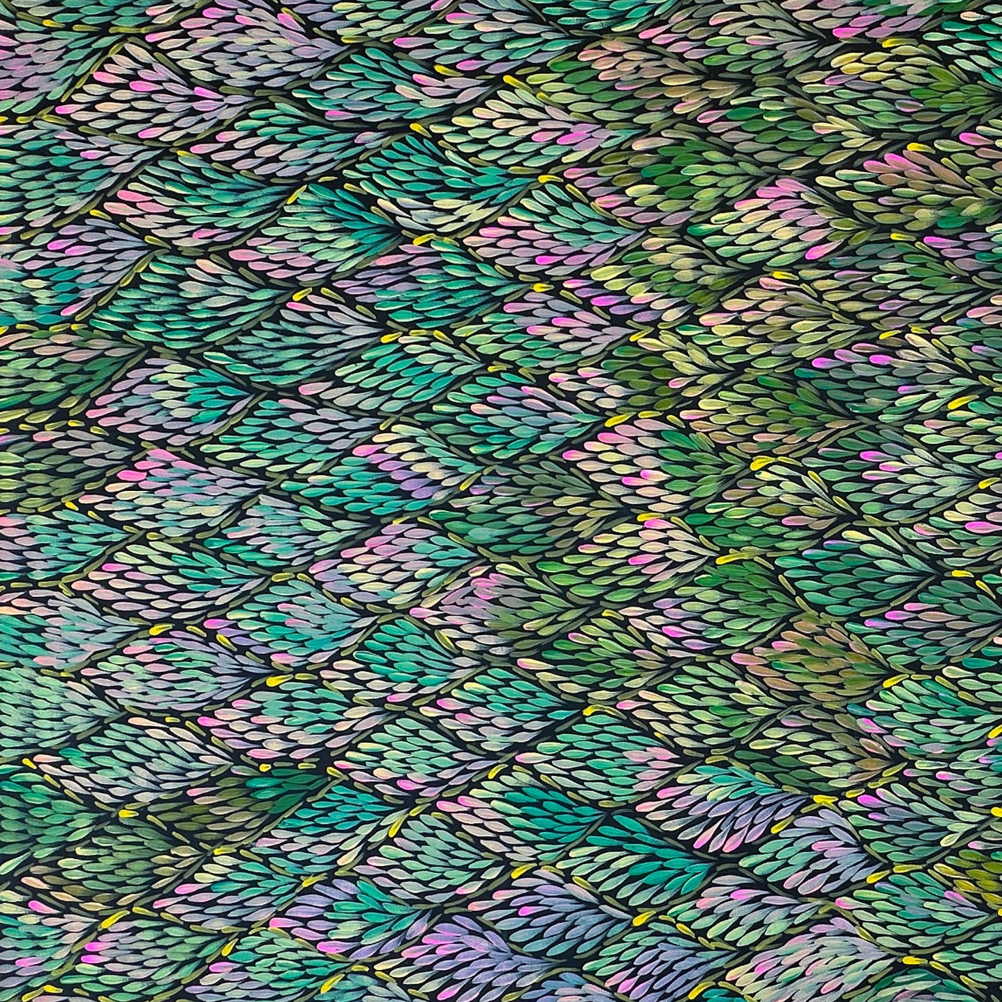 margaret turner petyarre + Bush Medicine + Beautiful artwork + art for sale + Painting for sale + indigenous art + aboriginal art + australian art + darwin based gallery + family business + pink + aqua + yellow + lake nash + artist + contemporary art