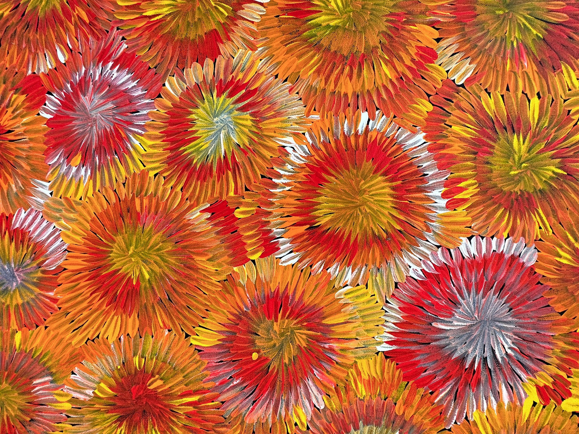 Margaret Turner Petyarre + Utopia + Bush Medicine + Orange + Yellow + beautiful + artwork + painting + art for sale + artwork for sale + painting for sale + indigenous art + aboriginal art + australian art + darwin based gallery +