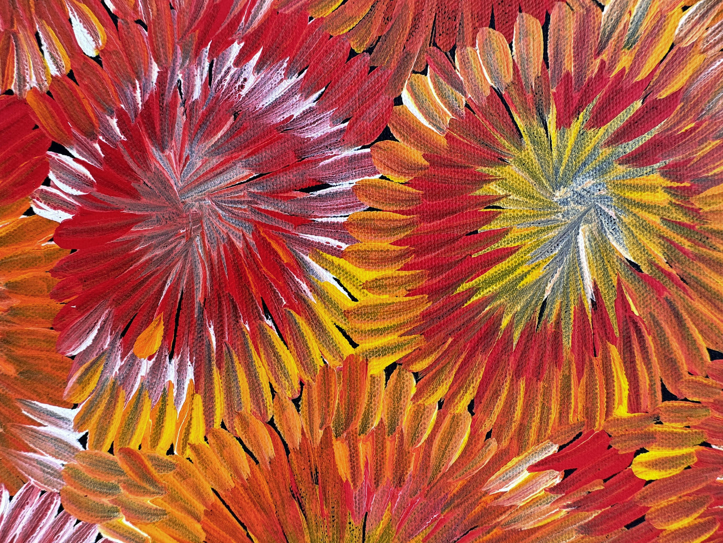 Margaret Turner Petyarre + Utopia + Bush Medicine + Orange + Yellow + beautiful + artwork + painting + art for sale + artwork for sale + painting for sale + indigenous art + aboriginal art + australian art + darwin based gallery +