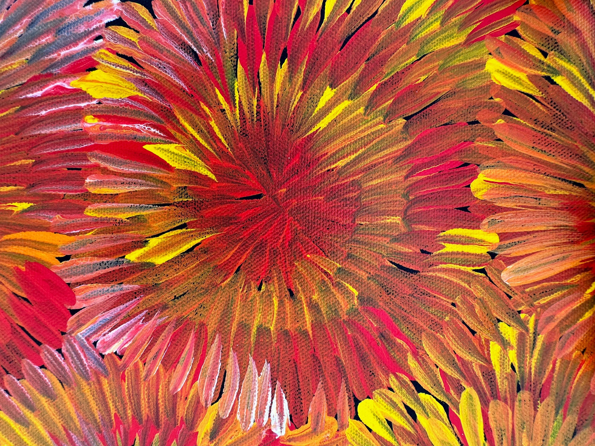 Margaret Turner Petyarre + Utopia + Bush Medicine + Orange + Yellow + beautiful + artwork + painting + art for sale + artwork for sale + painting for sale + indigenous art + aboriginal art + australian art + darwin based gallery +