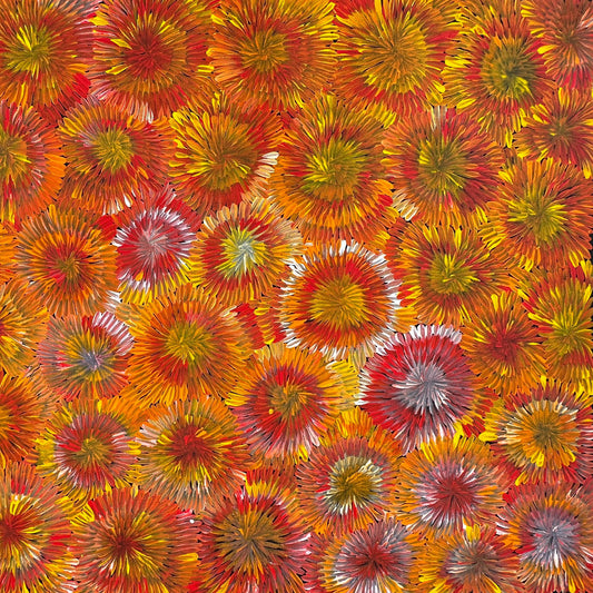 Margaret Turner Petyarre + Utopia + Bush Medicine + Orange + Yellow + beautiful + artwork + painting + art for sale + artwork for sale + painting for sale + indigenous art + aboriginal art + australian art + darwin based gallery +