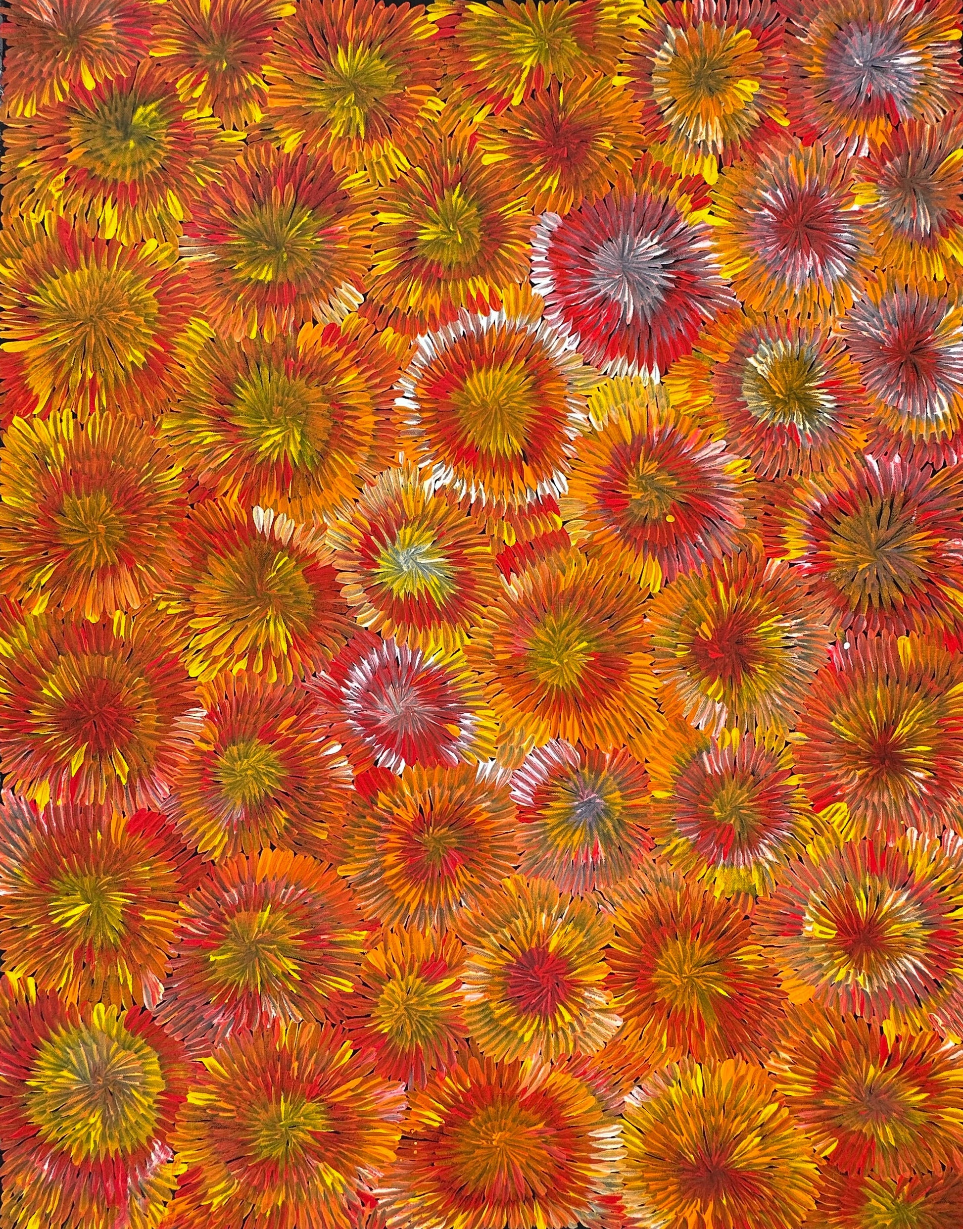 Margaret Turner Petyarre + Utopia + Bush Medicine + Orange + Yellow + beautiful + artwork + painting + art for sale + artwork for sale + painting for sale + indigenous art + aboriginal art + australian art + darwin based gallery +