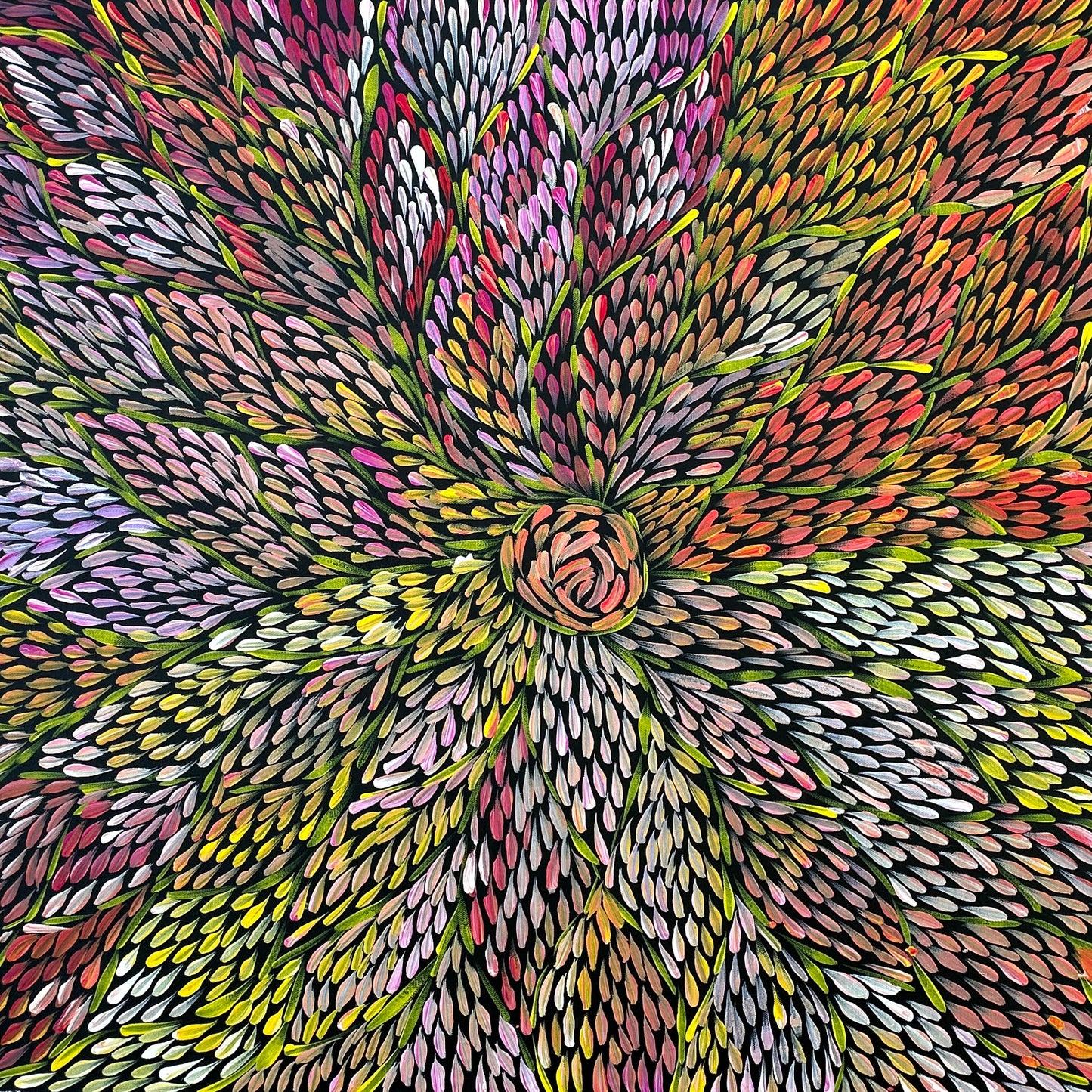 Margaret Turner Petyarre + Bush Medicine + Lake Nash + Aboriginal art + Indigneous Art + Altyerre Aboriginal Art + Beautiful + Artwork for sale + painting for sale + art gallery + darwin + interior design + interior decor + decor