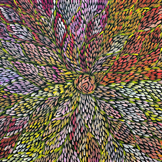 Margaret Turner Petyarre + Bush Medicine + Lake Nash + Aboriginal art + Indigneous Art + Altyerre Aboriginal Art + Beautiful + Artwork for sale + painting for sale + art gallery + darwin + interior design + interior decor + decor