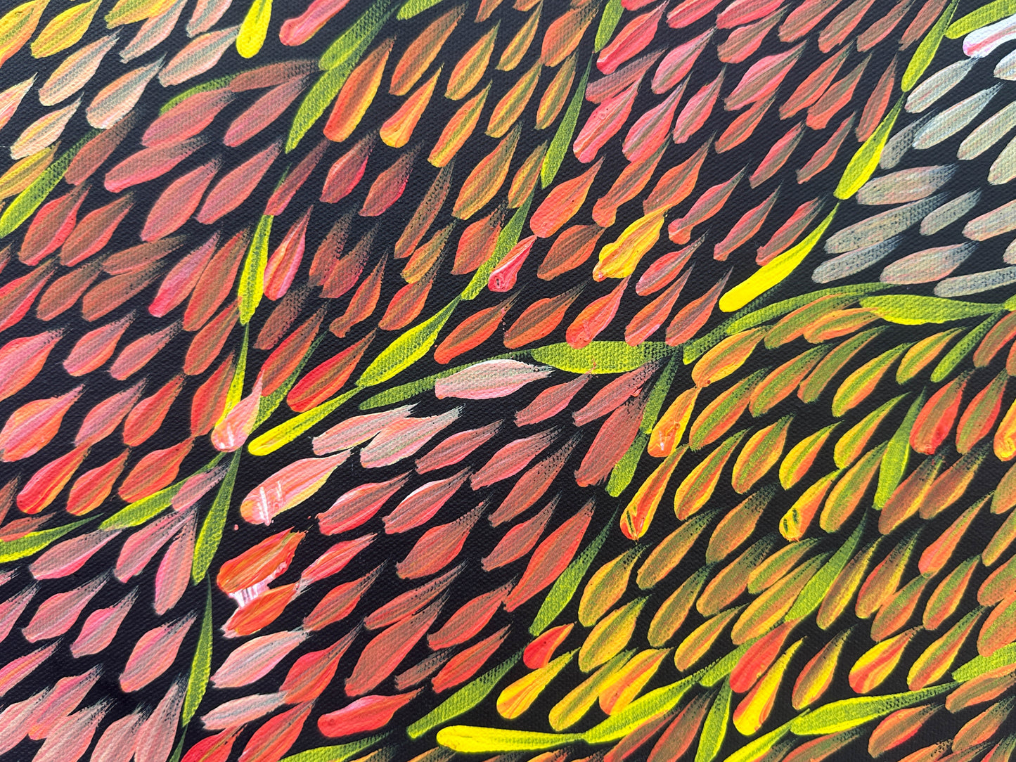 Margaret Turner Petyarre + Bush Medicine + Lake Nash + Aboriginal art + Indigneous Art + Altyerre Aboriginal Art + Beautiful + Artwork for sale + painting for sale + art gallery + darwin + interior design + interior decor + decor