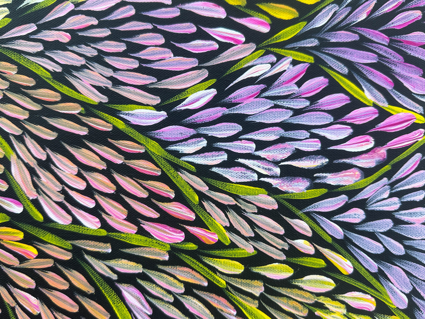Margaret Turner Petyarre + Bush Medicine + Lake Nash + Aboriginal art + Indigneous Art + Altyerre Aboriginal Art + Beautiful + Artwork for sale + painting for sale + art gallery + darwin + interior design + interior decor + decor