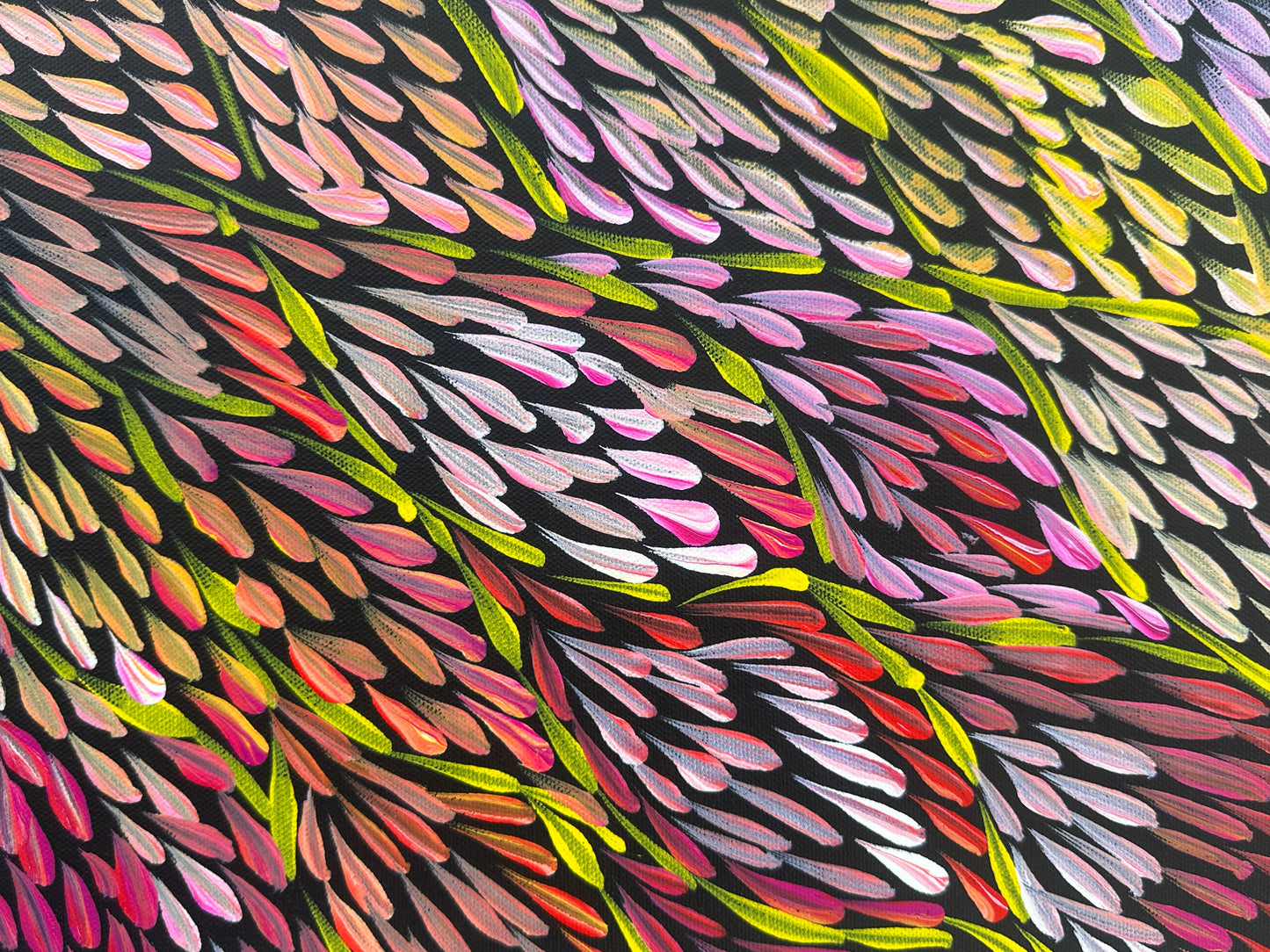 Margaret Turner Petyarre + Bush Medicine + Lake Nash + Aboriginal art + Indigneous Art + Altyerre Aboriginal Art + Beautiful + Artwork for sale + painting for sale + art gallery + darwin + interior design + interior decor + decor