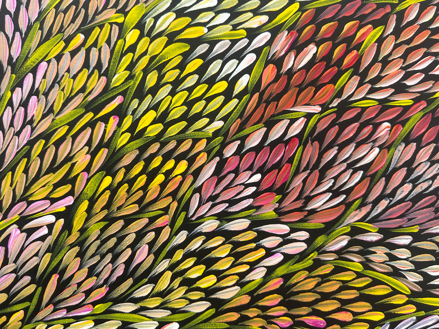 Margaret Turner Petyarre + Bush Medicine + Lake Nash + Aboriginal art + Indigneous Art + Altyerre Aboriginal Art + Beautiful + Artwork for sale + painting for sale + art gallery + darwin + interior design + interior decor + decor