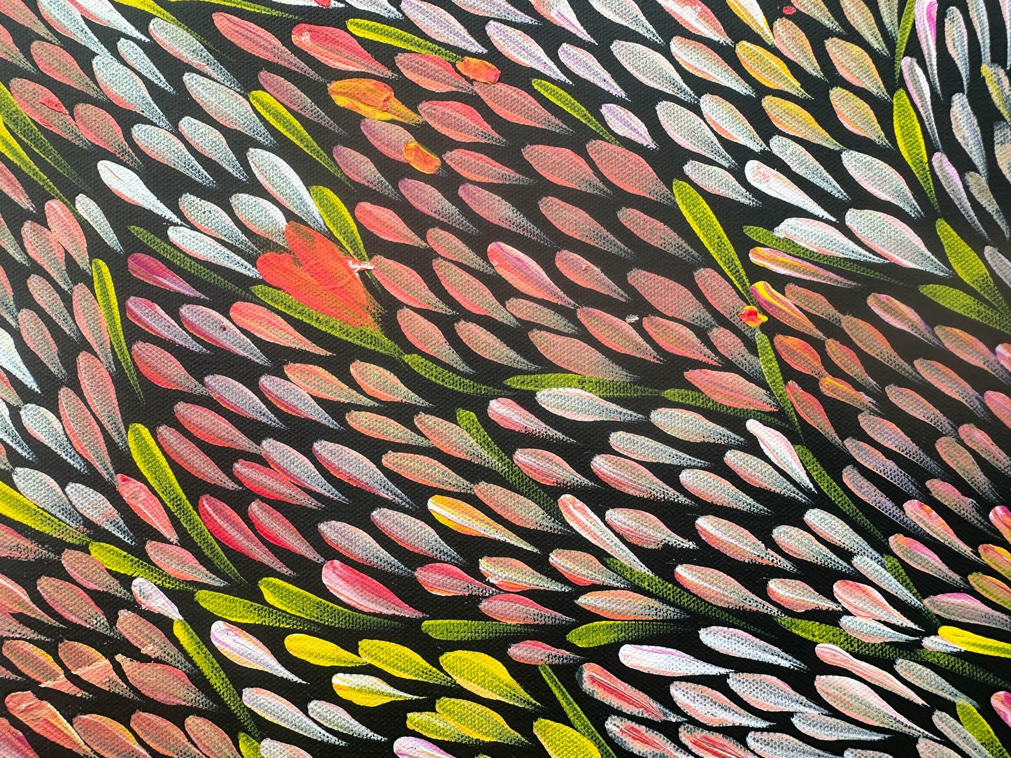 Margaret Turner Petyarre + Bush Medicine + Lake Nash + Aboriginal art + Indigneous Art + Altyerre Aboriginal Art + Beautiful + Artwork for sale + painting for sale + art gallery + darwin + interior design + interior decor + decor