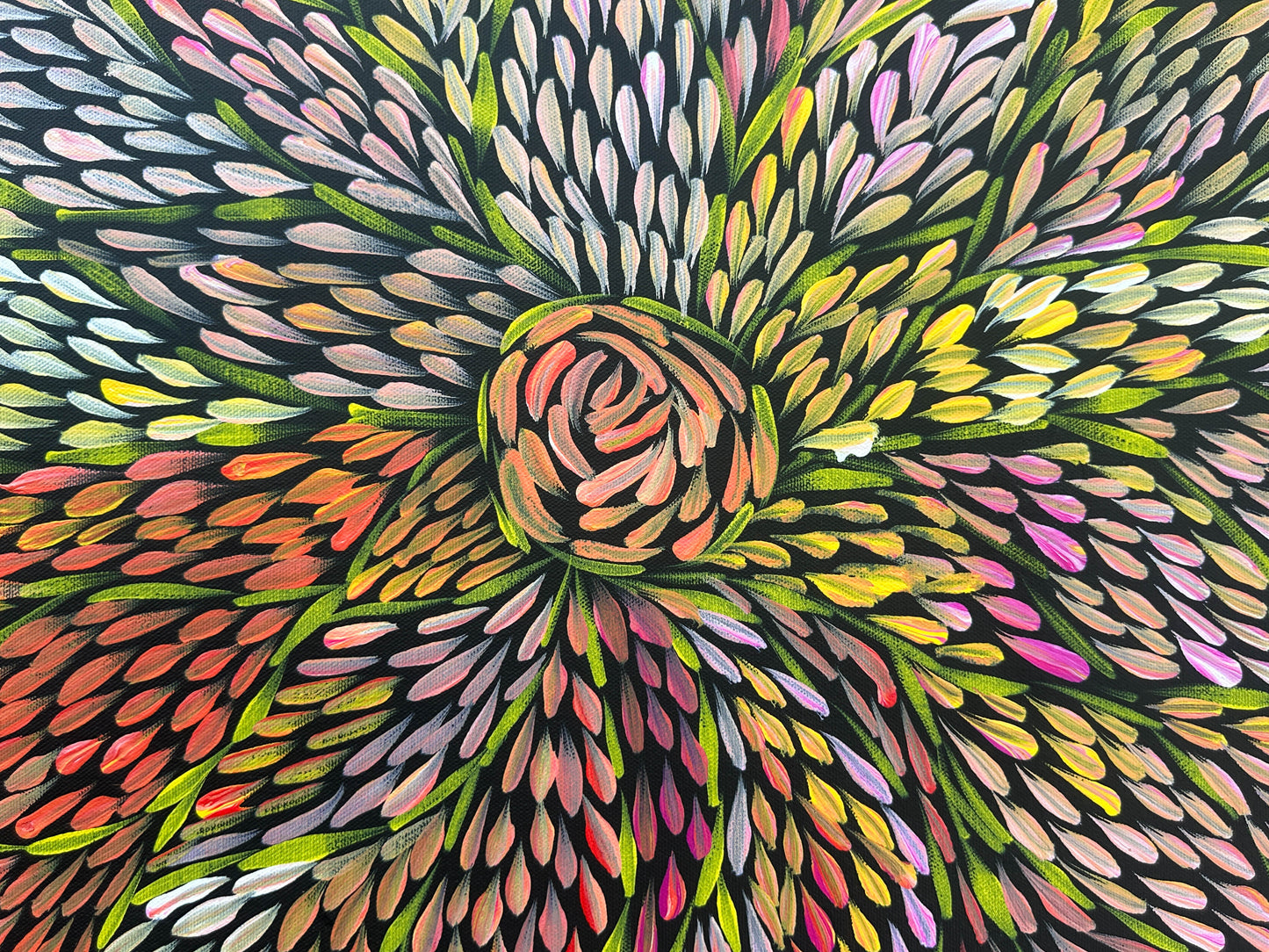Margaret Turner Petyarre + Bush Medicine + Lake Nash + Aboriginal art + Indigneous Art + Altyerre Aboriginal Art + Beautiful + Artwork for sale + painting for sale + art gallery + darwin + interior design + interior decor + decor