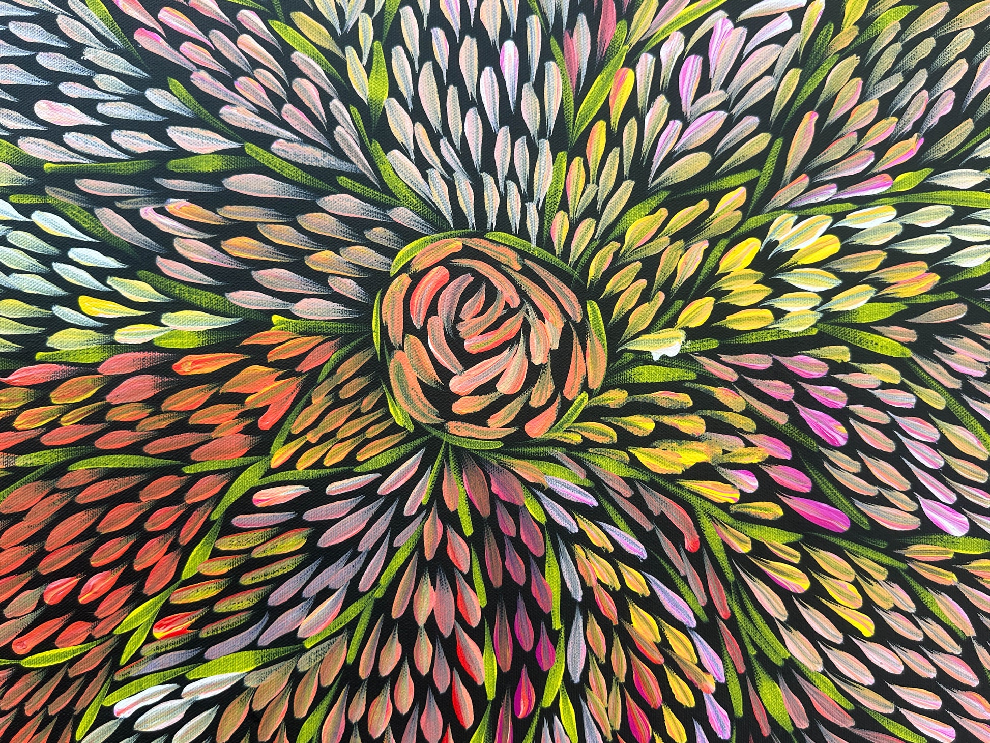 Margaret Turner Petyarre + Bush Medicine + Lake Nash + Aboriginal art + Indigneous Art + Altyerre Aboriginal Art + Beautiful + Artwork for sale + painting for sale + art gallery + darwin + interior design + interior decor + decor