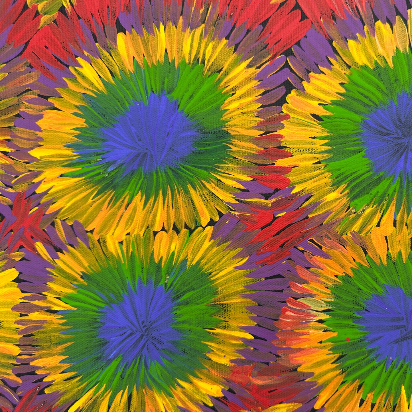 #margaretturnerpetyarre #lakenash #northernterritory #australianartist #aboriginalartist #indigenousartist #art #artforsale #painting #paintinforsale #art #artforsale #painting #paintinforsale #bushmedicine #artstory #colour #colourful #interior #interiordesign #interiordecorate #darwin #artgallery #darwinartgallery #artstory #utopia #femaleartist #wallart #artist #beautifulart