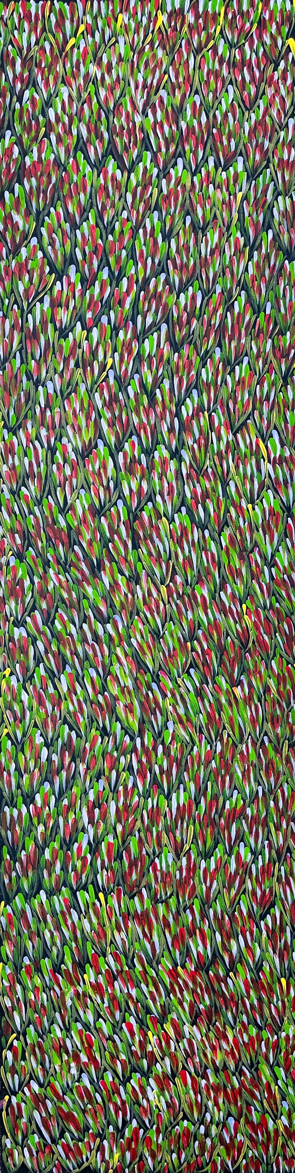 Margaret Turner Petyarre, Aboriginal art, Indigenous Art, Australian Art, Lake Nash, Northern Territory, Aboriginal Artist, art, art for sale , painting for sale, bush medicine, Darwin gallery, Altyerre Aboriginal Art, Original Art, Direct from the artist, ethical art, family business, interior decor, art gallery, wall art, bush medicine leaves, art décor, interior designer, beautiful art, colourful art, Interior design, Amatyerre, Outback Australia, Art collector, Office art, office artwork, Interior decor