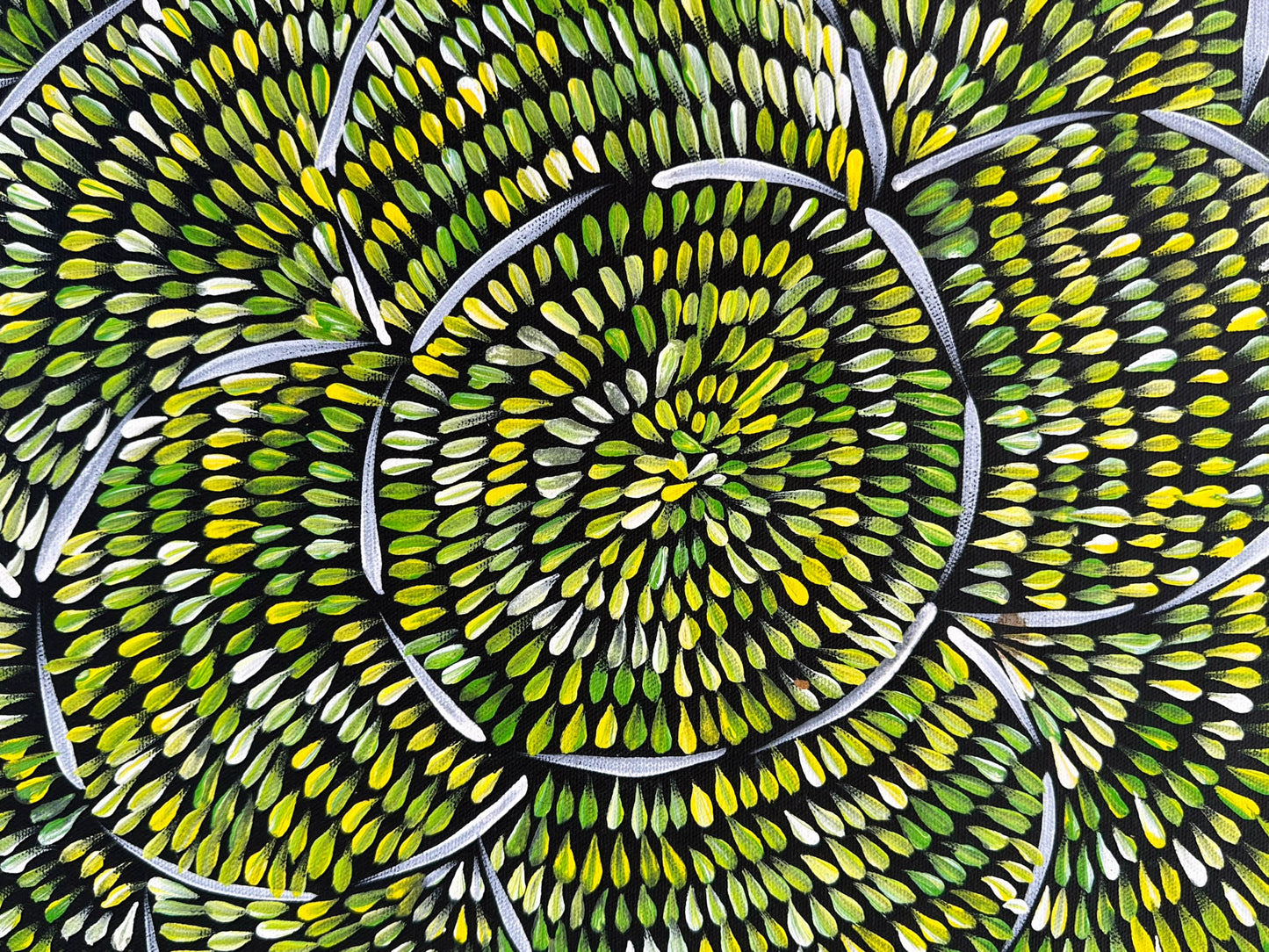 MARGARET TURNER PETYARRE - Bush Medicine Leaves