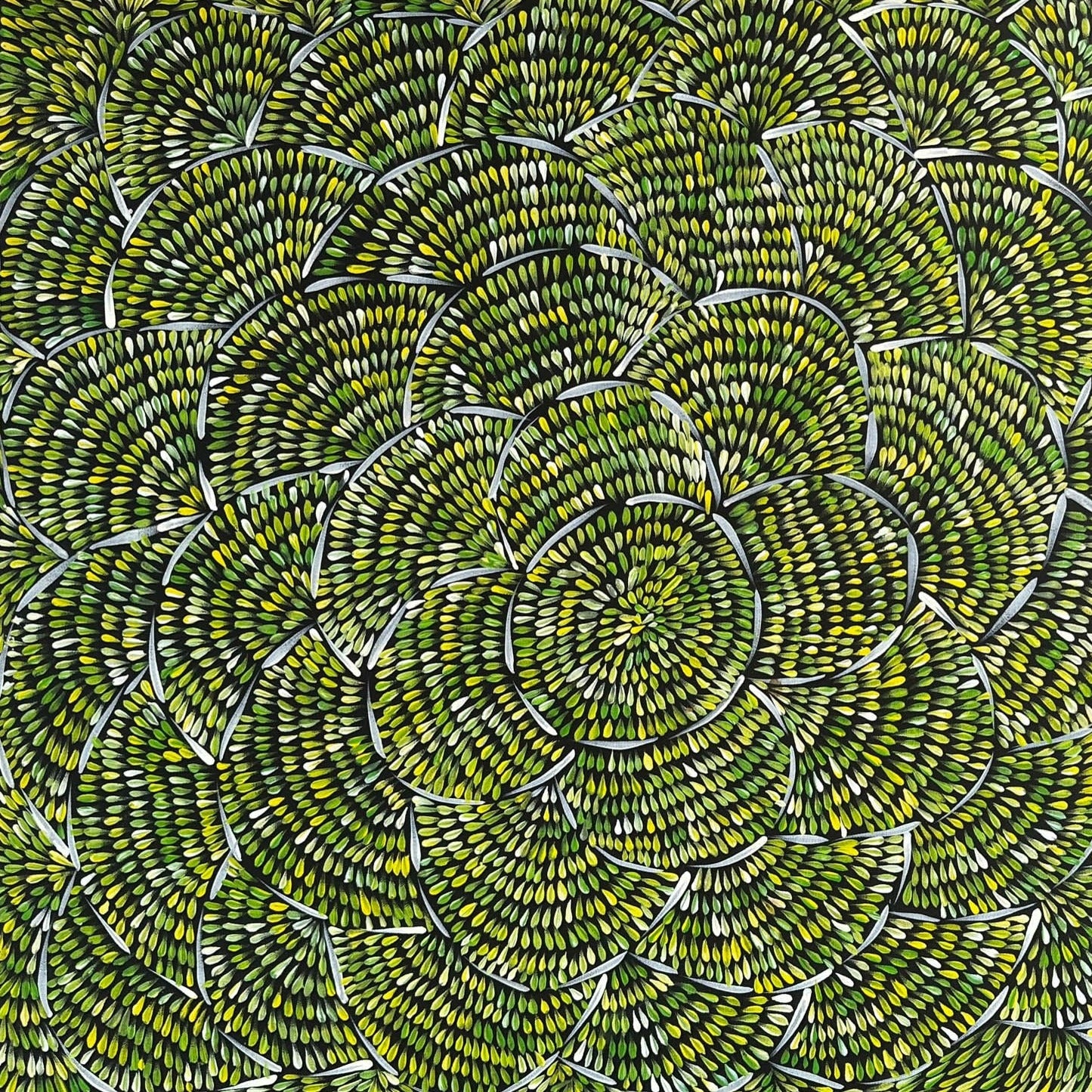 MARGARET TURNER PETYARRE - Bush Medicine Leaves