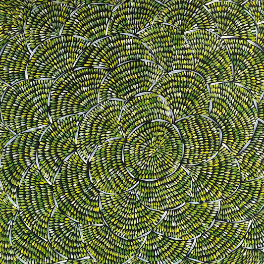 MARGARET TURNER PETYARRE - Bush Medicine Leaves