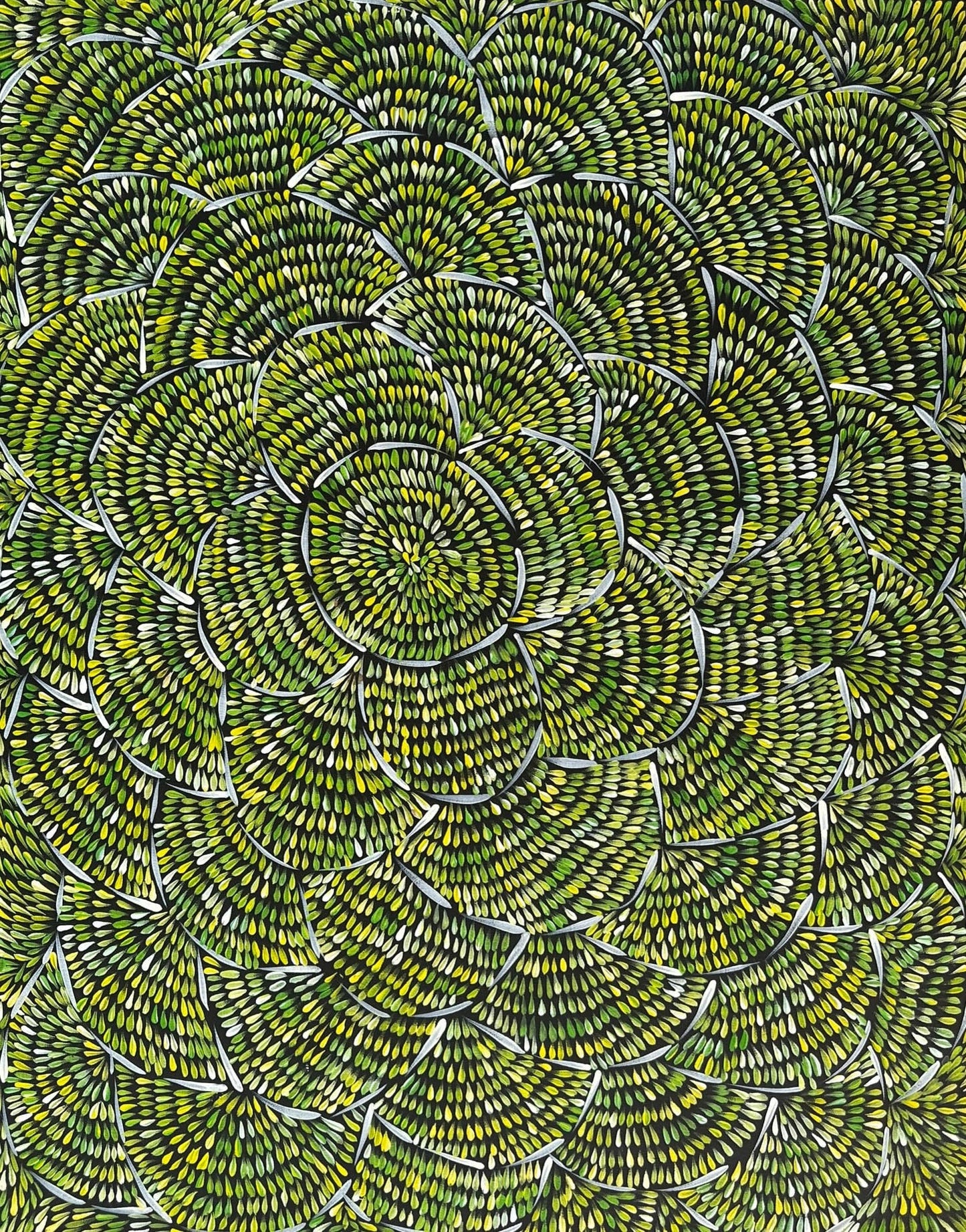 Margaret Turner Petyarre + Northern Territory + Indigenous Art + Aboriginal Art + Australian Art + Bush Medicine Leaves + Artwork + Painting + Darwin Based Gallery + Contemporary Art + Yellow + Green +