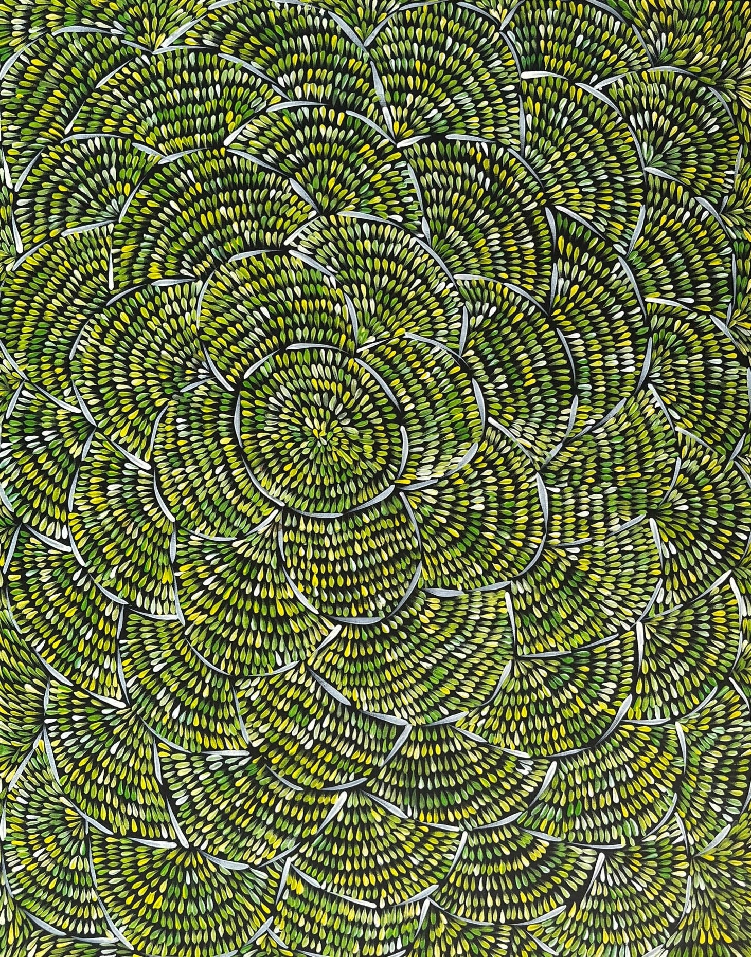 Margaret Turner Petyarre + Northern Territory + Indigenous Art + Aboriginal Art + Australian Art + Bush Medicine Leaves + Artwork + Painting + Darwin Based Gallery + Contemporary Art + Yellow + Green +
