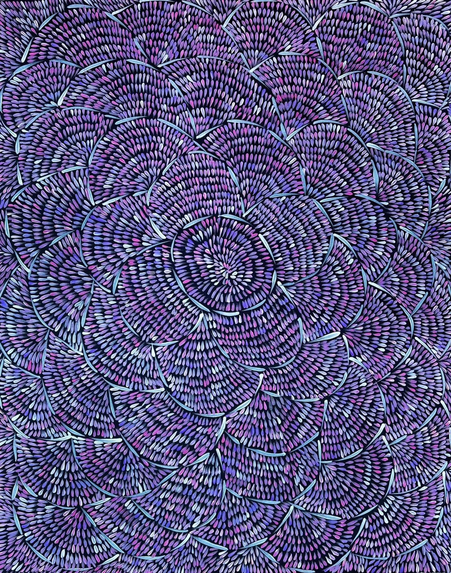 Margaret Tuner Petyarre + Utopia + Bush medicine Leaves + Purple + Contemporary Art + Indigneous Art + Australian Art + Aboriginal Art + Leaves + Darwin Based Gallery + Beautiful Art +