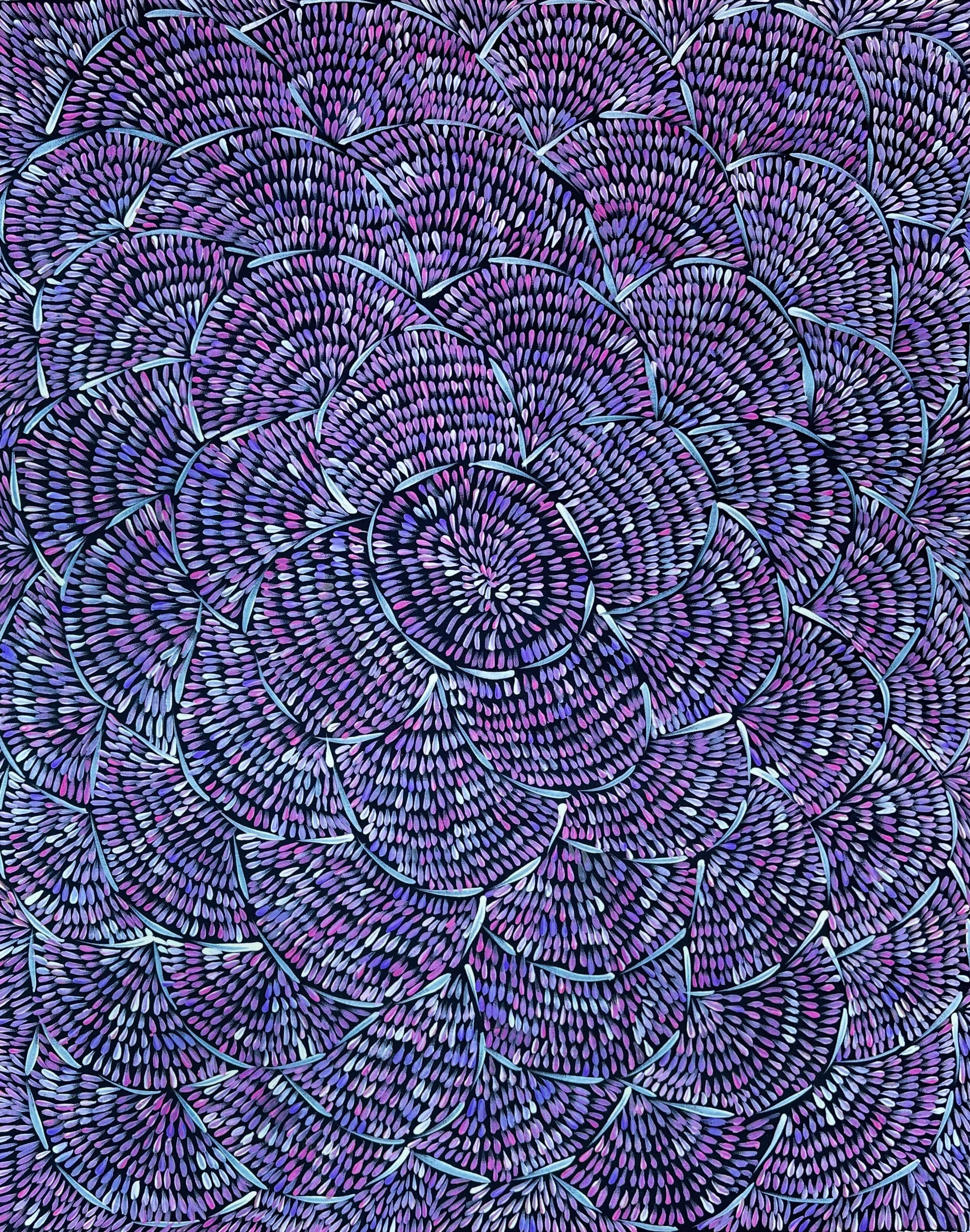 Margaret Tuner Petyarre + Utopia + Bush medicine Leaves + Purple + Contemporary Art + Indigneous Art + Australian Art + Aboriginal Art + Leaves + Darwin Based Gallery + Beautiful Art +