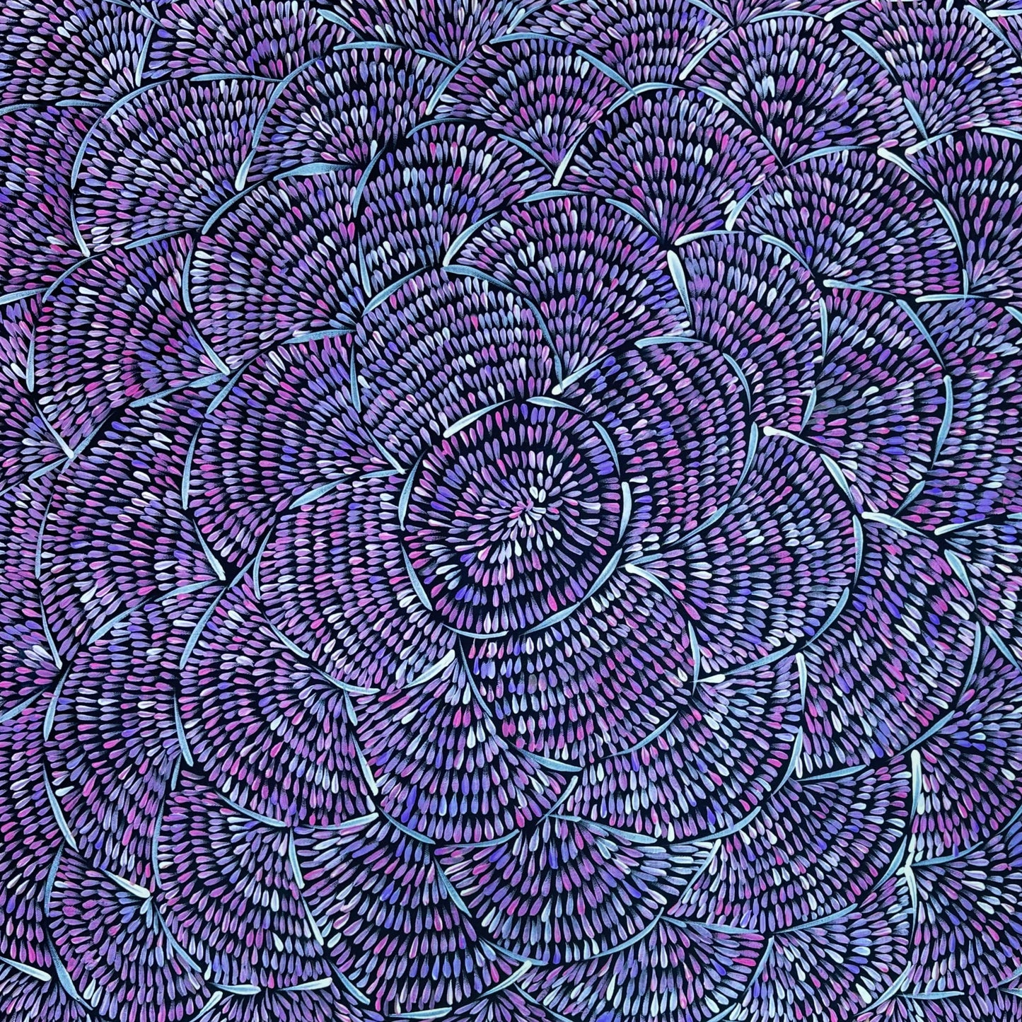 Margaret Tuner Petyarre + Utopia + Bush medicine Leaves + Purple + Contemporary Art + Indigneous Art + Australian Art + Aboriginal Art + Leaves + Darwin Based Gallery + Beautiful Art +
