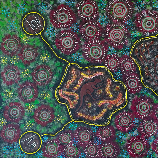 Norah Jurrah Nelson Napaljarri +  Ikuntji + Haasts Bluff + Western Desert Art + Indigenous Art + Aboriginal Art + Australian Art + Kangaroo + Bush Tucker + Bush Banana + Darwin Based Gallery + Bush Tucker + Traditional art + Iconography + Symbolism + Yuendumu
