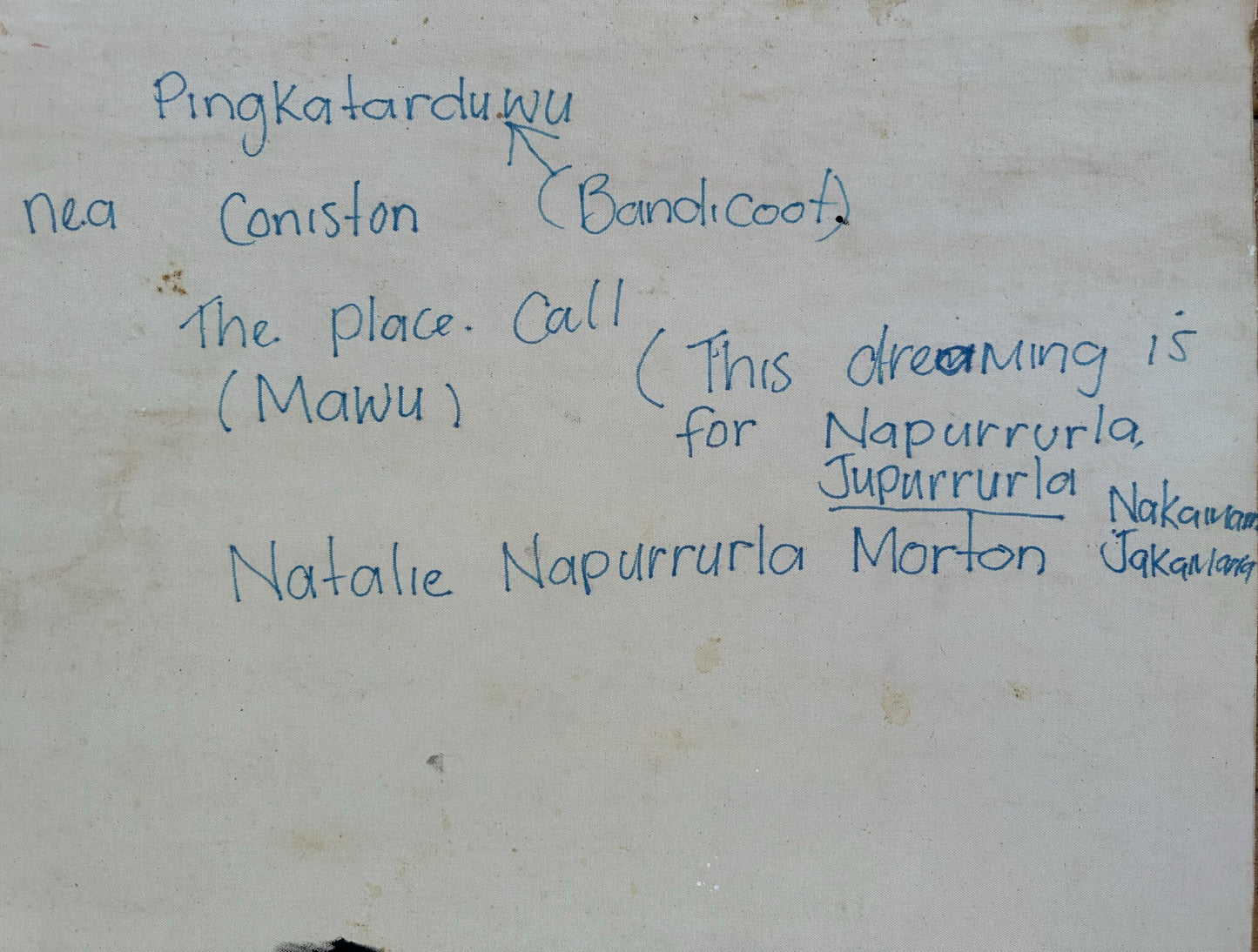 NATALIE NAPURRURLA MORTON - Bandicoot / Bush Seeds