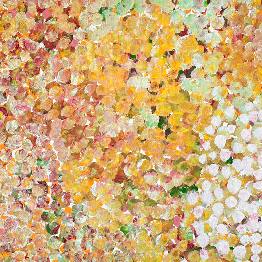 Polly Nelson Ngale Nangala + utopia + art for sale + painting for sale + indigenous art + aboriginal art + australian art + darwin based art gallery + family owned business + bush plum + dreaming + interior design + wall art + decor + art collector +