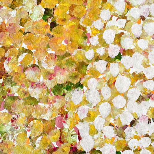 Polly Nelson Nangla, Polly Ngale, Polly Ngal, Utopia artist, Indigenous art, Aboriginal Art, Australian Art, Bush Plum dreaming, dot painting, dot art, art for sale, painting for sale, indigenous art for sale, aboriginal art for sale, altyerre aboriginal art, art décor, interior décor, interior design, colourful, home décor, office décor, art collector, Darwin gallery, art gallery, northern territory, family business, bush tucker, bush food, interior designer, wall art, bush plum dreaming